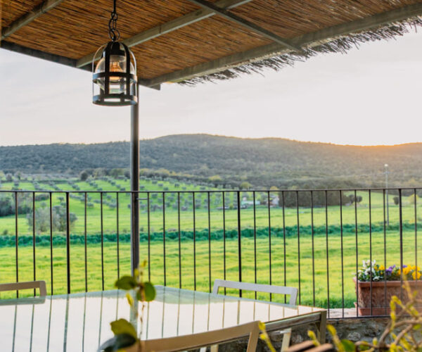 Podere Ceppo nella Maremma Toscana