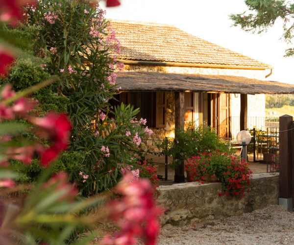 Podere Ceppo nella Maremma Toscana