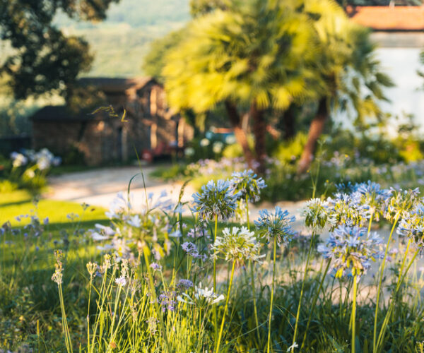 Podere Ceppo nella Maremma Toscana